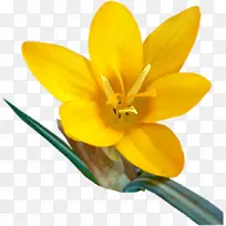 ��������5����ǣ�android��ɫ-android��Ϸ-������