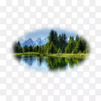 ɽˮ��Ȼ��ˮ-������