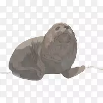 陆生动物-动物-空若网 陆生动物-动物-空若网