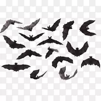 免费内容剪辑艺术-蝙蝠-空若网 免费内容剪辑艺术-蝙蝠-空若网