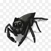 À¥³æ-¿ÕÈôÍø À¥³æ-¿ÕÈôÍø