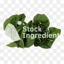 春绿叶-空若网 春绿叶-空若网