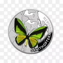 ��������Ŧ����Ԫһ��ԪӲ��-����-������