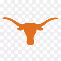 德克萨斯大学奥斯汀分校德克萨斯州长角足球德州长角男子篮球得克萨斯州长角女子篮球-空若网 德克萨斯大学奥斯汀分校德克萨斯州长角足球德州长角男子篮球得克萨斯州长角女子篮球-空若网