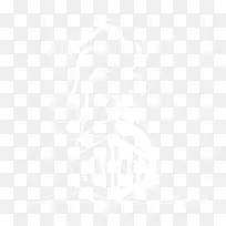 ���ϴ�˹��������װ���ʮ�־�-������