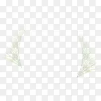 Ҷ��ϵ���ƾ��ͷ�����ţ-������