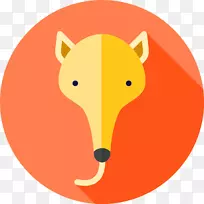 犬科犬鼻子夹艺术-空若网 犬科犬鼻子夹艺术-空若网