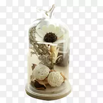 ������ƿ.���λ�ƿ����-������