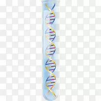 RNA核酸双螺旋科学dna-空若网 RNA核酸双螺旋科学dna-空若网