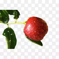 草莓枣果红枣雨图-空若网 草莓枣果红枣雨图-空若网
