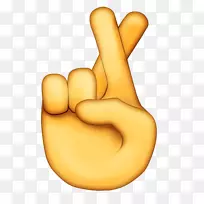 幸运的手指表情-空若网 幸运的手指表情-空若网