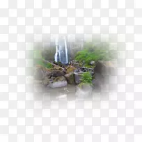 台式机壁纸电脑树壁纸.水-空若网 台式机壁纸电脑树壁纸.水-空若网