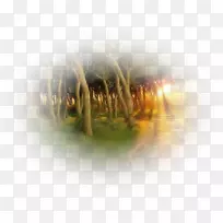 ���������ֽ��д��������-������