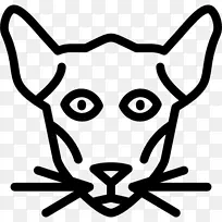 胡须猫狗鼻子夹艺术猫-空若网 胡须猫狗鼻子夹艺术猫-空若网