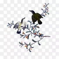 羽嘴开花植物-羽毛-空若网 羽嘴开花植物-羽毛-空若网