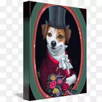 养狗,养小狗,爱鼻子-杰克·罗素-空若网 养狗,养小狗,爱鼻子-杰克·罗素-空若网