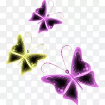 对称族紫-装饰-空若网 对称族紫-装饰-空若网