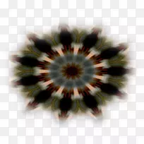 对称圆棕色图案圆-空若网 对称圆棕色图案圆-空若网