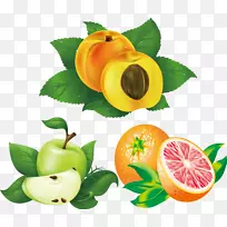 ˮ������������ͼ-��Ҷ��������ƻ��-������