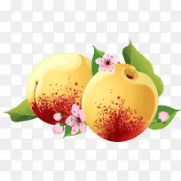 ¹û½´ÌÒ×ÓÊÖ»æÌÒ×Ó-¿ÕÈôÍø ¹û½´ÌÒ×ÓÊÖ»æÌÒ×Ó-¿ÕÈôÍø