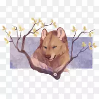 Ȯ��ˮ�ʻ���Ȯ-������