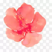 水彩画下载夹艺术手绘水彩画桃红色材料-空若网 水彩画下载夹艺术手绘水彩画桃红色材料-空若网