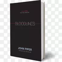 品牌多媒体设计-空若网 品牌多媒体设计-空若网