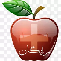 a苹果电脑图标-空若网 a苹果电脑图标-空若网