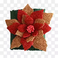 ʥ��װ��Ʒ-ʥ����-������