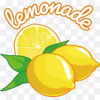 柠檬-柠檬饮料-载体柠檬-空若网 柠檬-柠檬饮料-载体柠檬-空若网