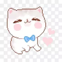 猫,小猫,可爱的猫-空若网 猫,小猫,可爱的猫-空若网