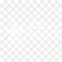 阿迪达斯新西兰服装配饰鞋-阿迪达斯-空若网 阿迪达斯新西兰服装配饰鞋-阿迪达斯-空若网