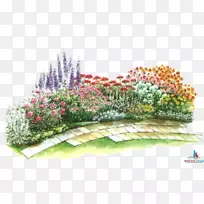 花卉设计绿化草灌木设计-空若网 花卉设计绿化草灌木设计-空若网