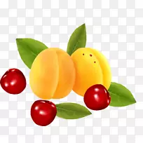 桃樱桃图标-载体樱桃桃子-空若网 桃樱桃图标-载体樱桃桃子-空若网