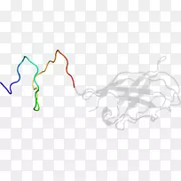 �ߵ������-��-������