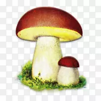 Android波兰单词-Android-空若网 Android波兰单词-Android-空若网