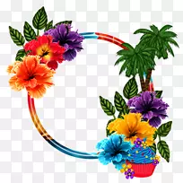 纸花设计夏威夷博客-空若网 纸花设计夏威夷博客-空若网