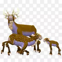 驯鹿羚羊陆地动物野生动物驯鹿-空若网 驯鹿羚羊陆地动物野生动物驯鹿-空若网