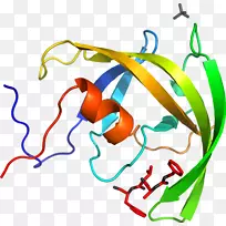 线点生物剪贴画线-空若网 线点生物剪贴画线-空若网