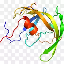 线点生物剪贴画线-空若网 线点生物剪贴画线-空若网