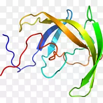 线点生物剪贴画线-空若网 线点生物剪贴画线-空若网