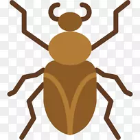 蜜蜂昆虫动画剪贴画昆虫-空若网 蜜蜂昆虫动画剪贴画昆虫-空若网