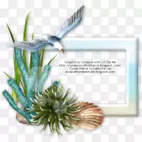 Majorelle��԰Majorelle��ɫ����ֲ��-Kathy-������