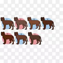 狗繁殖犬鼻子夹艺术拉布拉多犬-空若网 狗繁殖犬鼻子夹艺术拉布拉多犬-空若网