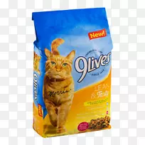 早餐麦片粥猫粮9活猫-空若网 早餐麦片粥猫粮9活猫-空若网