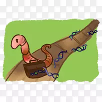 动物鞋夹艺术-空若网 动物鞋夹艺术-空若网