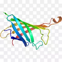 艺术线平面设计点剪贴画线-空若网 艺术线平面设计点剪贴画线-空若网