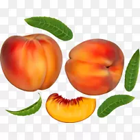 ������ʳ-����-������