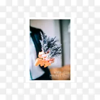 摄影-照片-空若网 摄影-照片-空若网