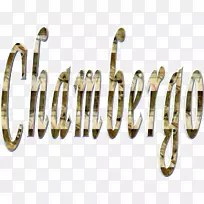 01504材质车身珠宝字体-Torres-空若网 01504材质车身珠宝字体-Torres-空若网